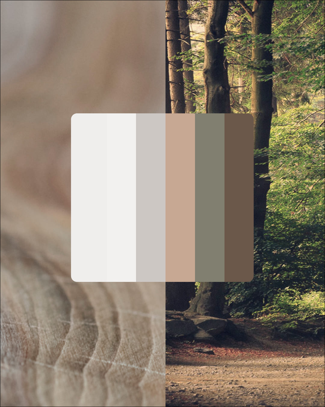 Cuman Serramenti - Dettaglio